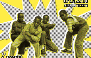 STEPPERS