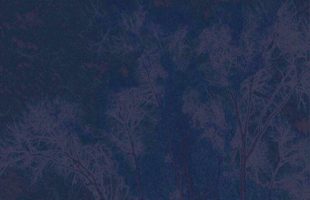 nocturne organized