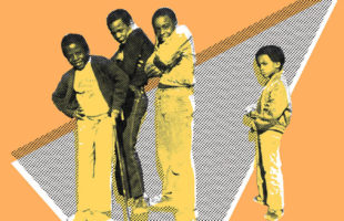 STEPPERS