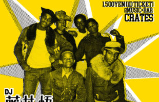 STEPPERS