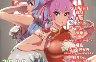 アニエンカウントstage13